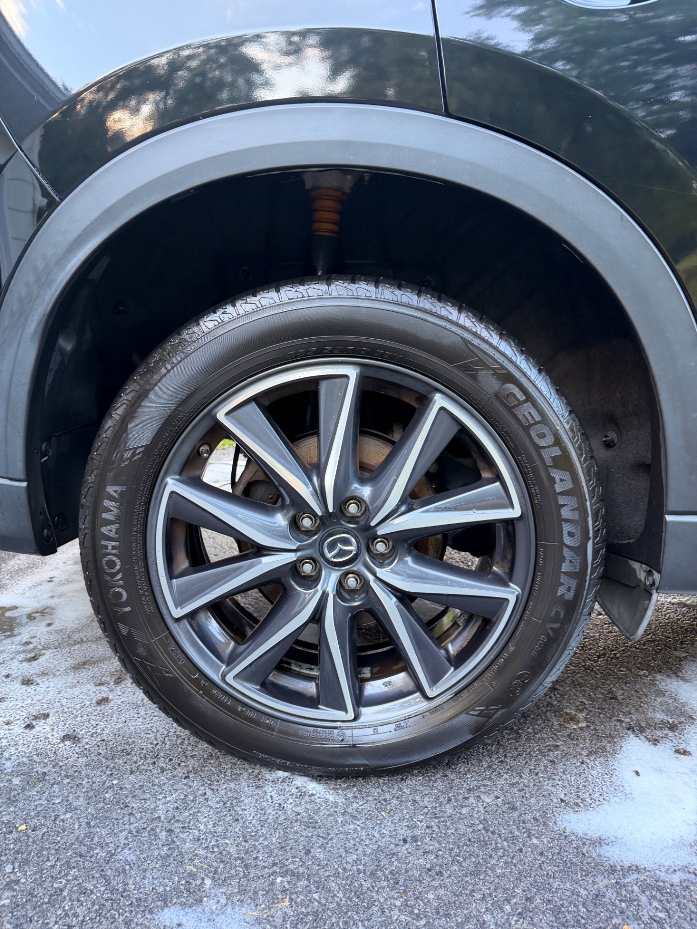 Wheels & Fenders after